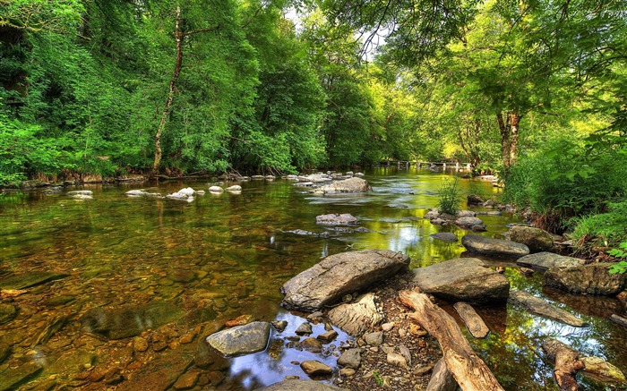 Floresta verde de rio rochoso - papel de parede de alta qualidade HD Visualizações:13240