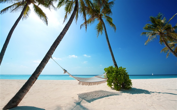 Hamac sur la plage tropicale-Paysage d'été HD Fond d'écran Vues:14956