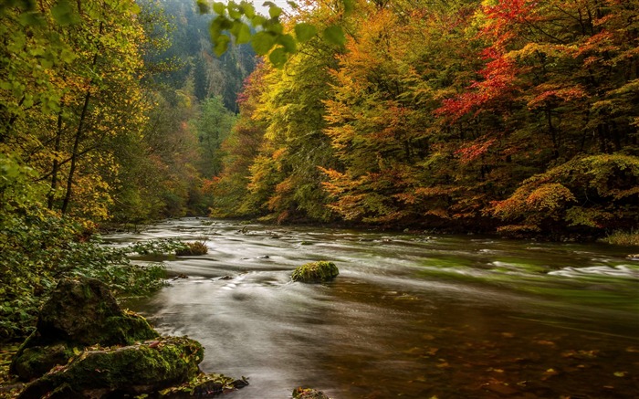 Harz Allemagne Autumn Forest River-Paysage de haute qualité Fond d'écran Vues:10929