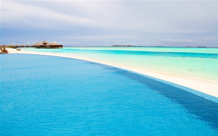 Piscine à débordement de la plage maldives-Paysage d'été HD Fond d'écran Vues:19933