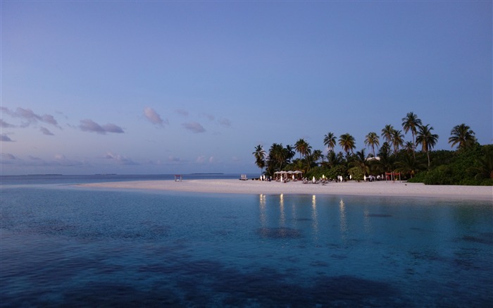 Maldives plage tropicale de palmiers-Paysage de haute qualité Fond d'écran Vues:9544