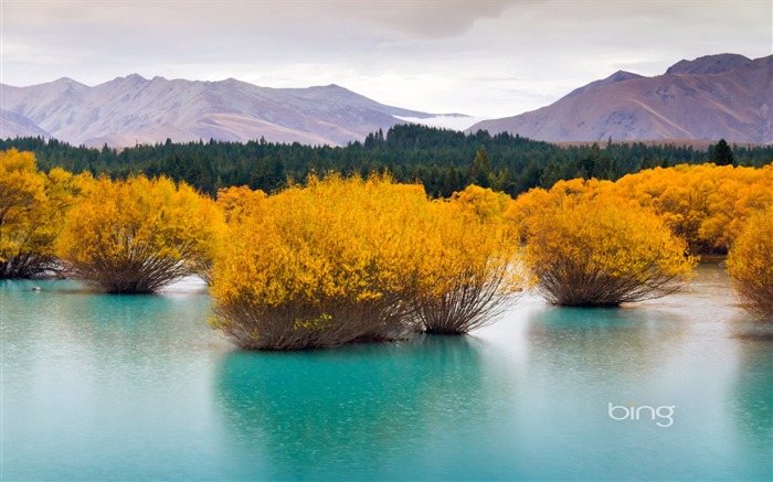 Nouvelle-Zélande Glacier lake-2016 Bing Fond d'écran Vues:7737