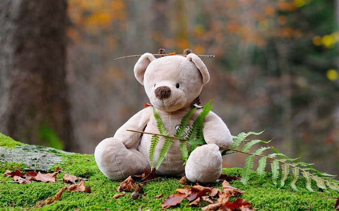 Teddy bear toy forest-2016 High Quality HD Wallpaper Views:6553 Date:2016/6/13 7:44:40