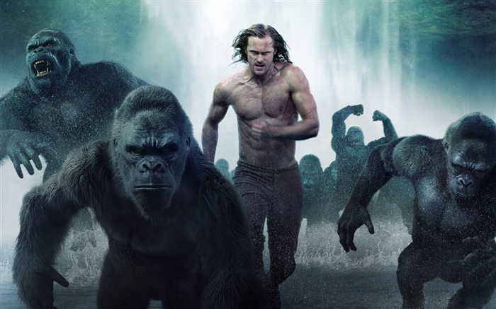 La legend de Tarzan 2016-Films Affiches HD Fond d'écran Vues:8854