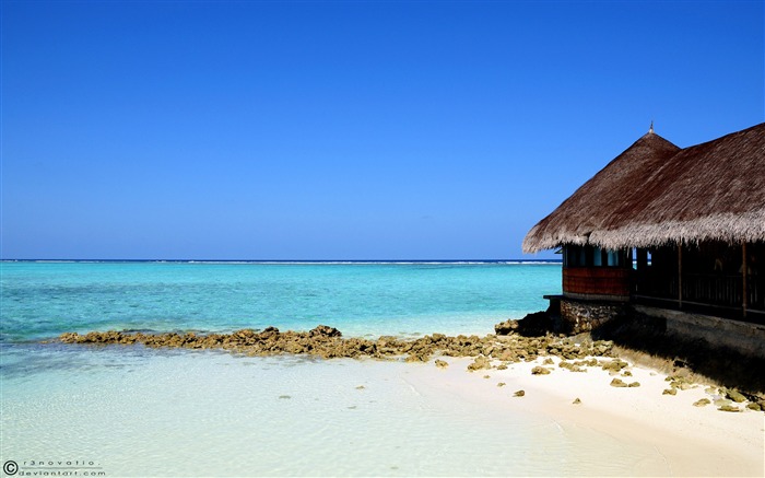 Tropical maison de plage-Paysage d'été HD Fond d'écran Vues:12921