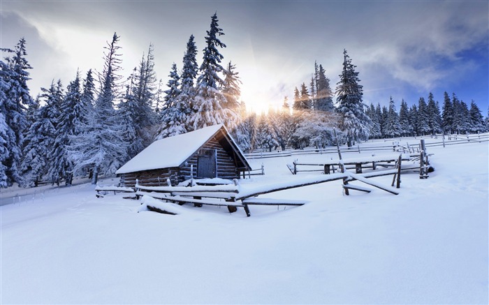 Bosque de invierno montaña sol nieve-naturaleza HD foto fondo de pantalla Vistas:12103