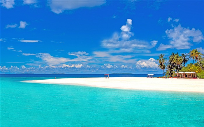 vacances à la plage tropicale-Paysage d'été HD Fond d'écran Vues:29116