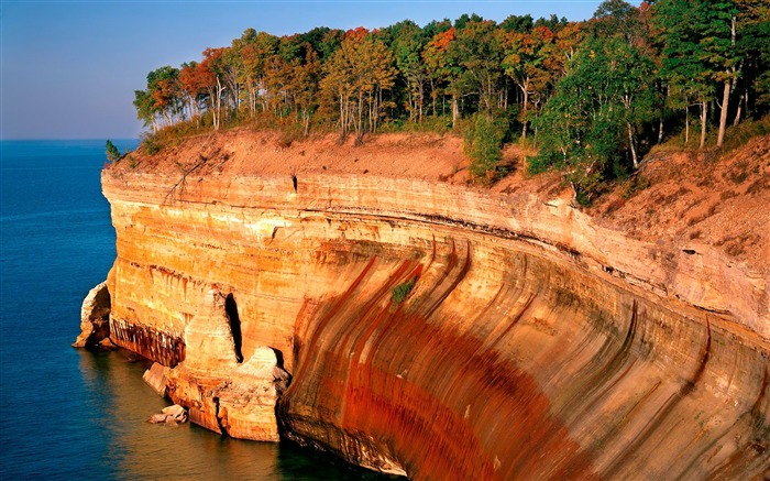 断树海岸海面高度-风景高品质壁纸 浏览:7755