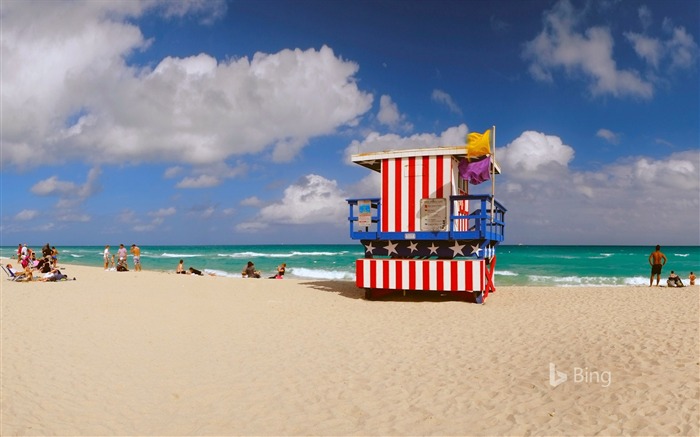 Florida Miami Lifeguard estação-2016 Bing Wallpaper Visualizações:8205