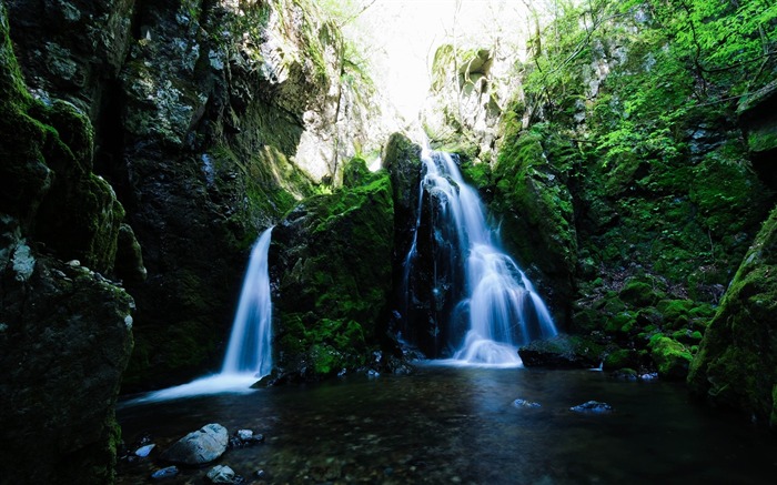 Forêt rochers chute d'eau de rivière-Paysage Thème Fond d'écran Vues:6549