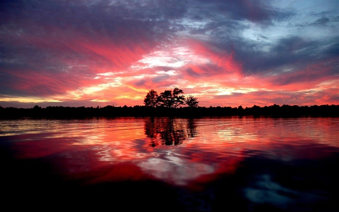 arbres d'été chaud ciel du soir-Paysage haute qualité Fond d'écran Vues:11099