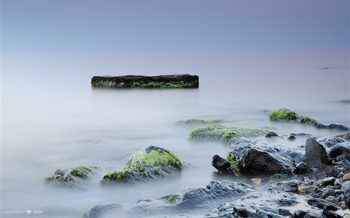 Pierres rochers mousse silence brouillard-Paysage haute qualité Fond d'écran Vues:6844