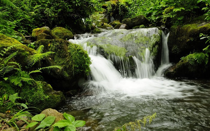 Falls georgia park mtirala adjara-Nature cenário paisagem Visualizações:9099