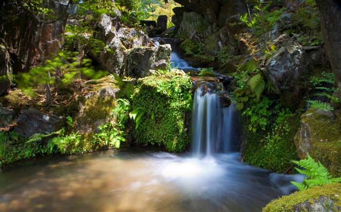 Queda rochas vegetação selva-Natureza paisagem cenário Visualizações:8857