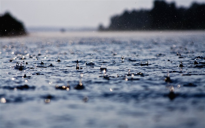 surface de l'eau de mer-2016 Macro Photo Fonds d'écran Vues:5661