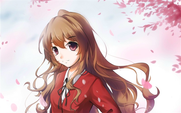 Toradora aisaka taiga girl-Anime Personaje fondo de pantalla HD Vistas:10841