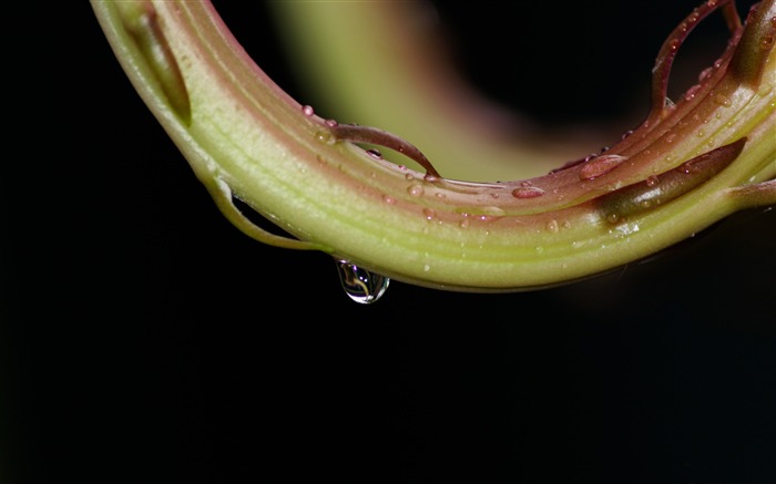 Water drop-2016 Papel de parede de alta qualidade Visualizações:6375