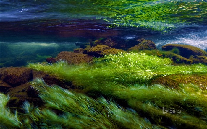 Une rivière à Snowdonia National Park Pays de Galles-Guinée-2016 Bing Fond d'écran Vues:7756