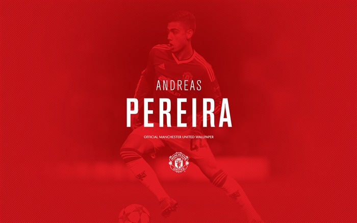 Andreas Pereira-2016 Manchester United HD Fonds d'écran Vues:8902