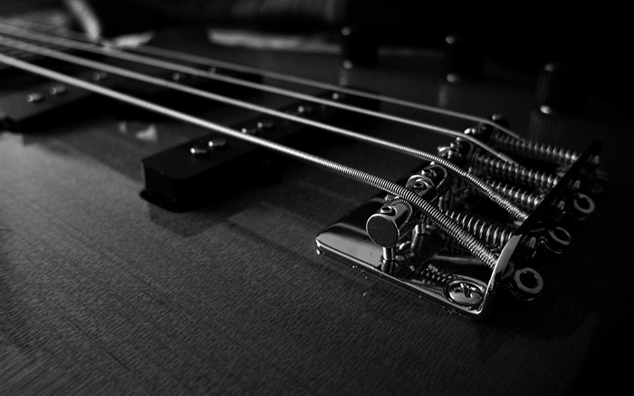 Bass guitars macro-2016 Music HD Wallpaper Views:8925 Date:2016/9/20 9:53:11