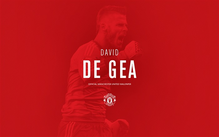 David de Gea-2016 Manchester United HD Fonds d'écran Vues:10719