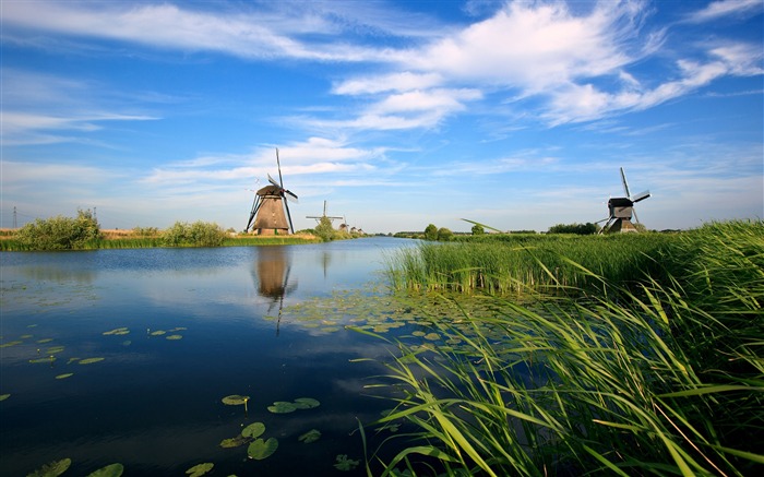 Holland windmill river blue sky-Scenery HD Wallpaper Visualizações:8904