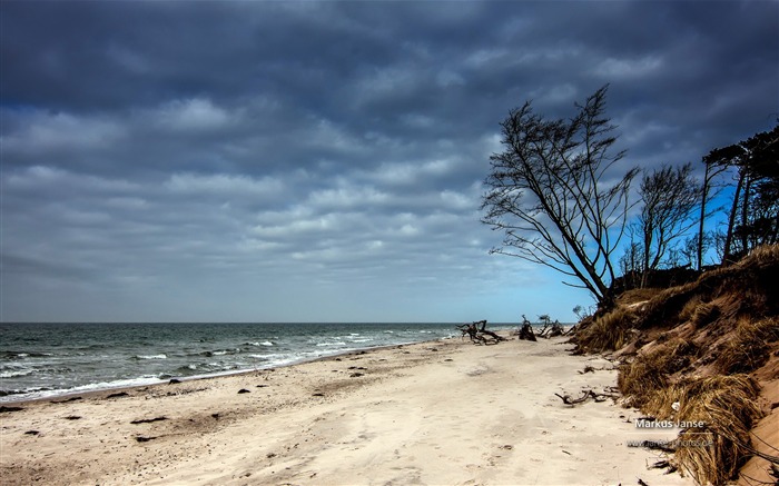 Markus Janse 德国波罗的海 Fischland 风景壁纸 浏览:7106