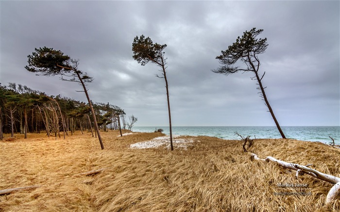 Markus Janse 德国波罗的海 Fischland 风景壁纸 浏览:6283