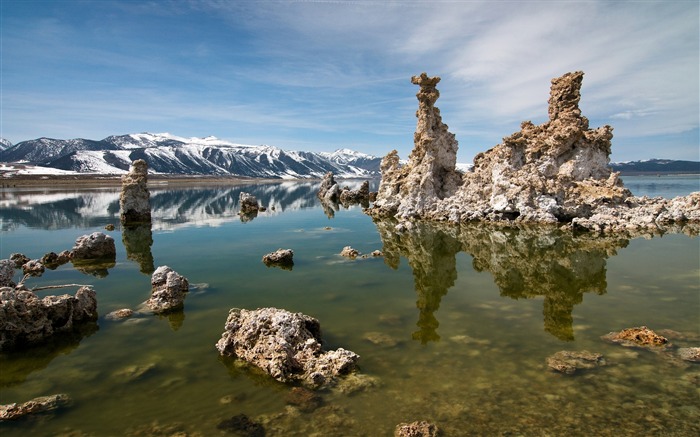 Reeves fundo da água do lago - cenário HD Wallpaper Visualizações:7227