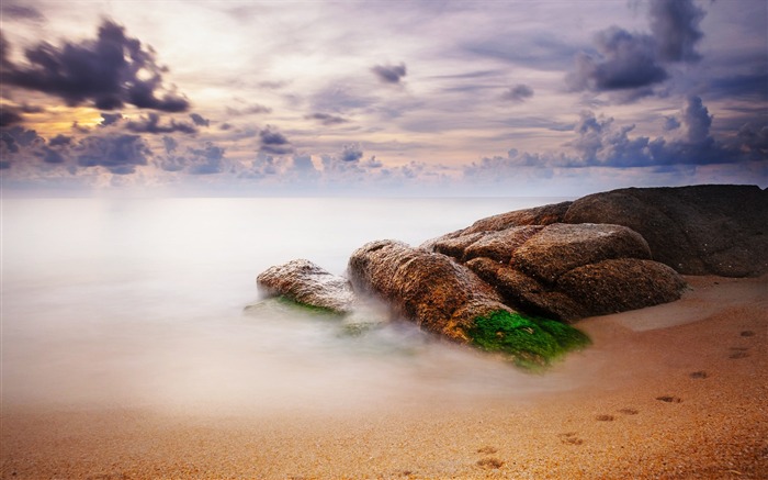 Stones areia musgo traços-Scenery HD Wallpaper Visualizações:7505