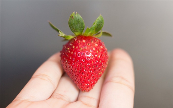 Strawberry berry close up-2016 Papel de Parede de Alta Qualidade Visualizações:5639