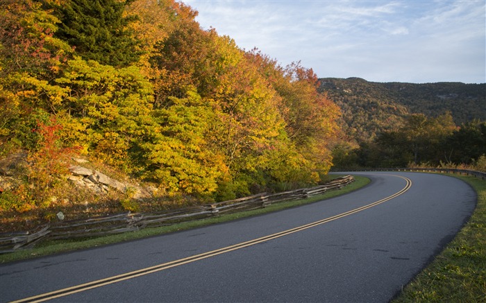 Autumn forest road rotate marking-Scenery High Quality Wallpaper Views:7755 Date:2016/10/23 18:40:24