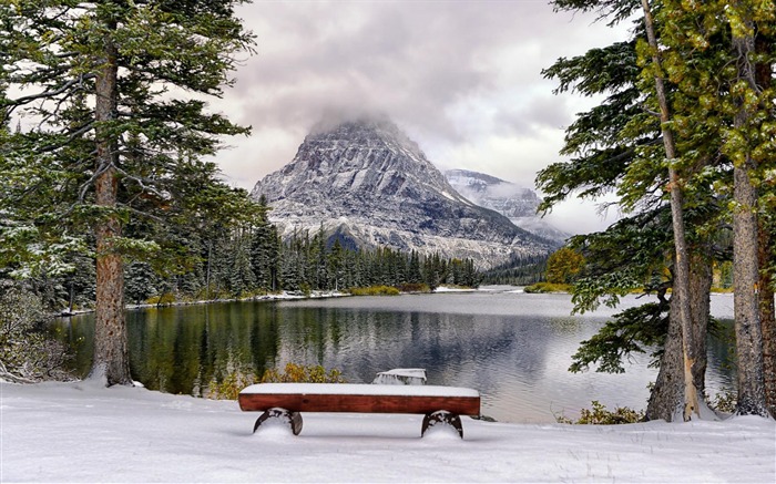 Bench by the lake in the winter-Windows 10 HD Wallpapers Views:14360 Date:2016/10/30 18:44:00