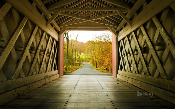 Delaware Ashland Bridge in New Castle-2016 Bing Desktop Wallpaper Views:8586 Date:2016/10/23 9:50:08