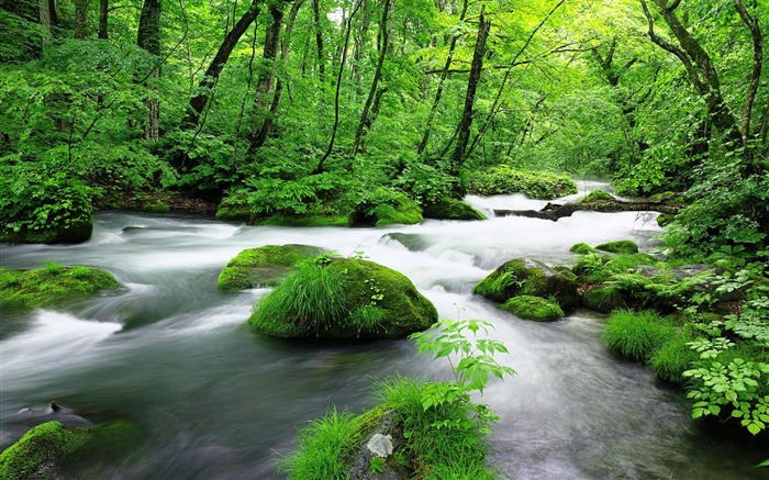 Windows 10 system nature landscape HD papel de parede de mesa Visualizações:147364