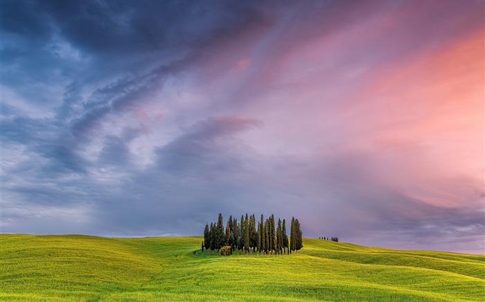 Italie arbres TOSCANE des prairies-paysages Haute Qualité Fond d'écran Vues:9933