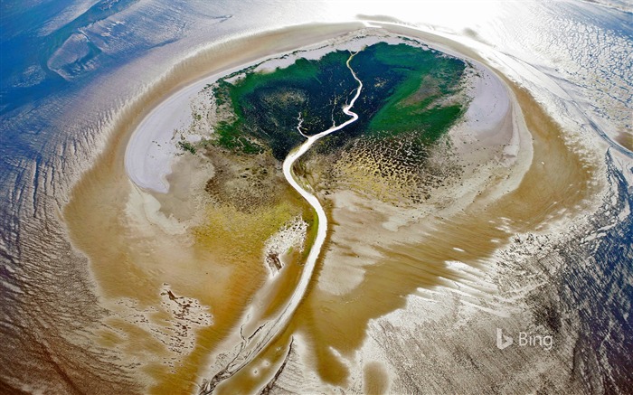 Netherlands the West Frisian Islands-2016 Bing Desktop Wallpaper Views:8118 Date:2016/10/23 10:07:55