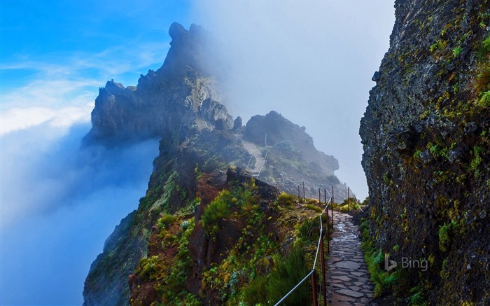 Portugal Mountain trail in Madeira-2016 Bing Desktop Wallpaper Views:16461 Date:2016/10/23 10:01:54