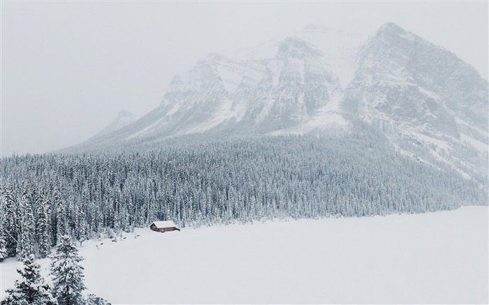 Inverno neve montanhas árvores-cenário paisagem de alta qualidade Visualizações:6834