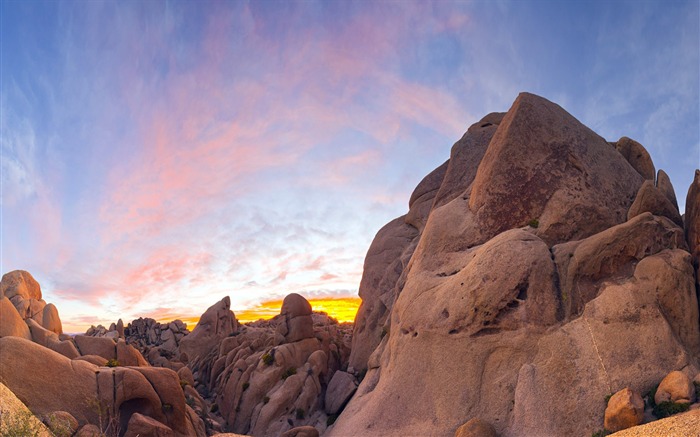 National tree Park California Granite-Travel fondo de pantalla HD Vistas:7470