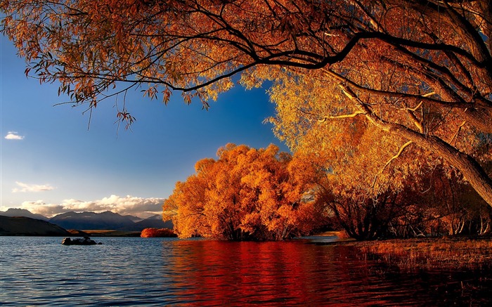 Fondo de pantalla de paisaje de lagos y naturaleza de otoño de Nueva Zelanda Vistas:15432