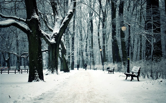 Banc de parc ville d'hiver-Fonds d'écran 2016 Nature HD Vues:8363