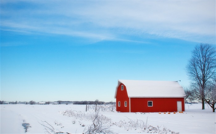 Rouge grange hiver ciel arbre-Fonds d'écran 2016 Nature HD Vues:10010