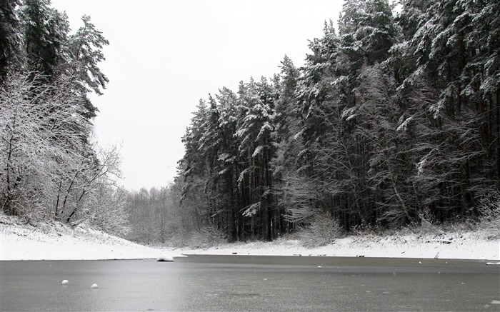 Rivière hiver arbres glace neige noir blanc-Fonds d'écran 2016 Nature HD Vues:10818