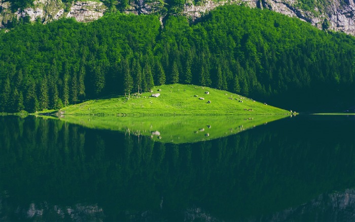 Seealpsee lake switzerland-2016 고화질 바탕 화면 찾아보기 :8643