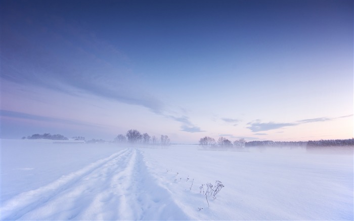 Champ d'hiver de neige-Fonds d'écran 2016 Nature HD Vues:10169