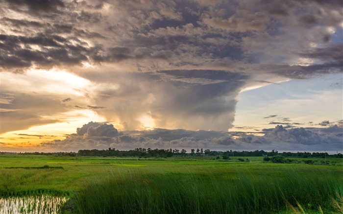 Nuvens de tempestade de verão reunindo-Papel de parede da paisagem da natureza Visualizações:8550