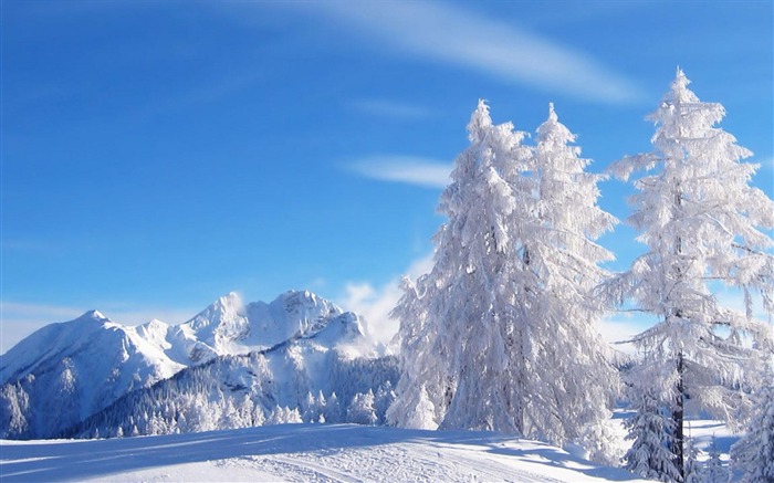 Hiver givre montagnes fraîcheur air-Fonds d'écran 2016 Nature HD Vues:9526