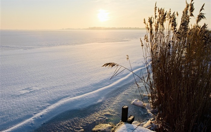 Hiver Lac neige couvert buissons côte-Fonds d'écran 2016 Nature HD Vues:7220