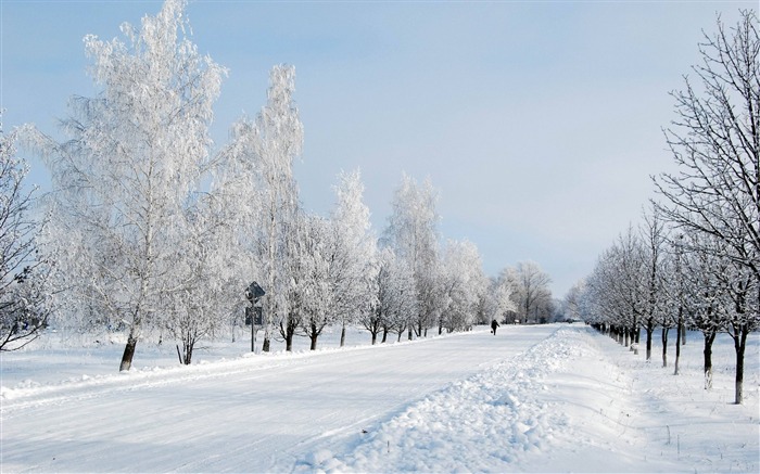 Hiver neige route avenue Arbres personne-Fonds d'écran 2016 Nature HD Vues:10768